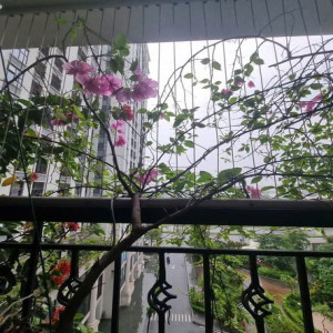 Ảnh nhà