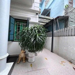 Ảnh nhà