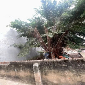 Ảnh nhà