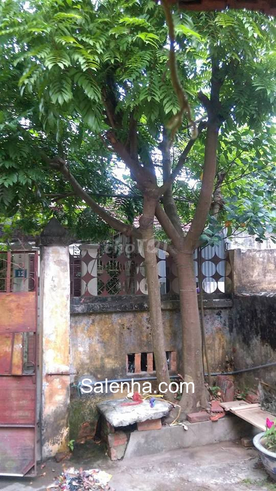 Ảnh nhà