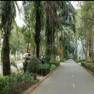Ảnh nhà