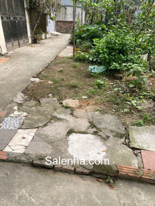 Ảnh nhà