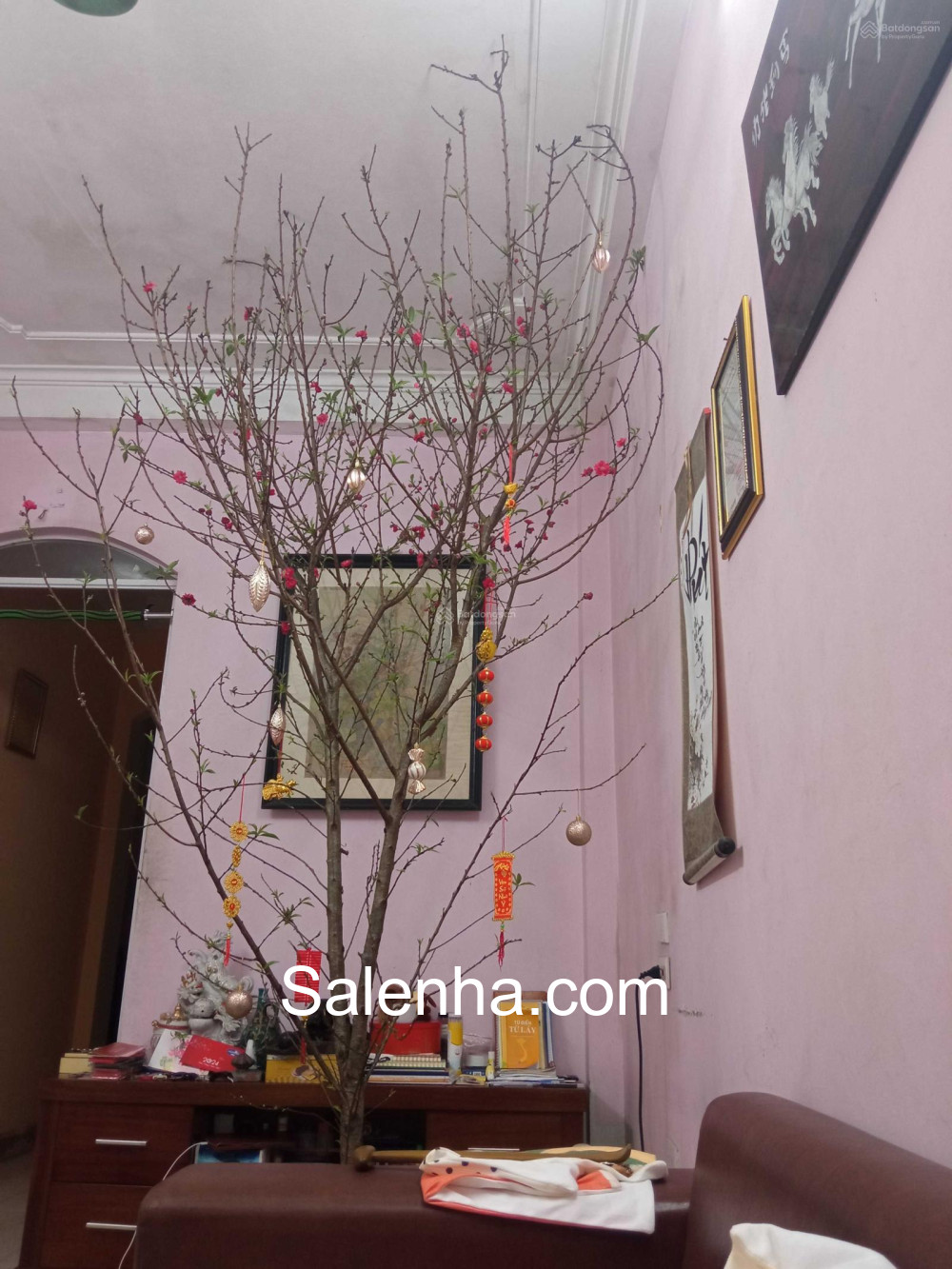 Ảnh nhà
