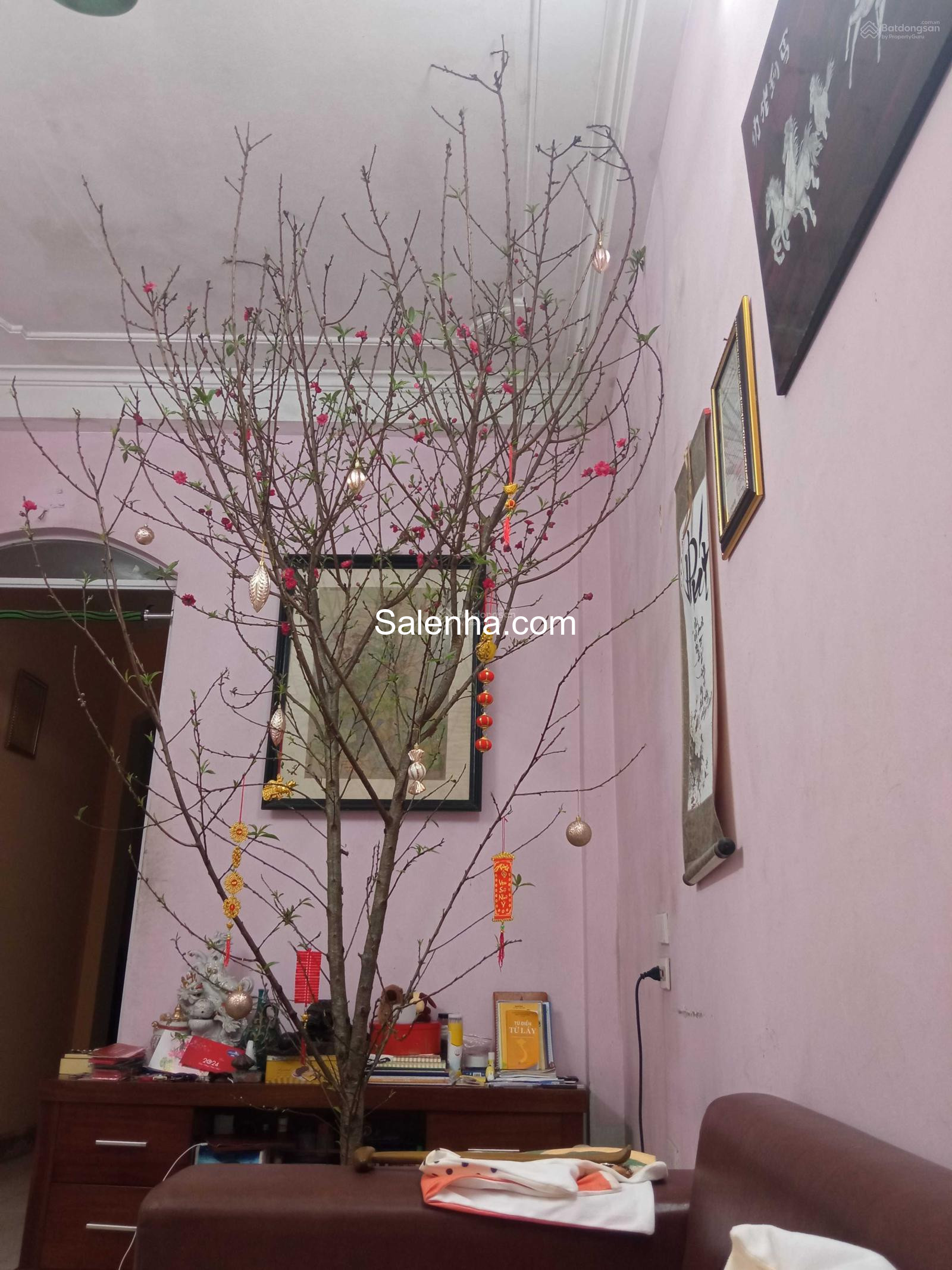 Ảnh nhà