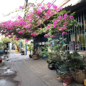 Ảnh nhà