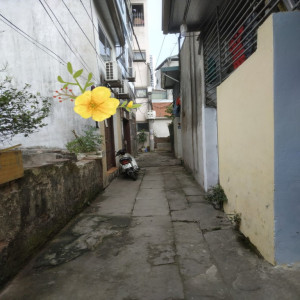 Ảnh nhà