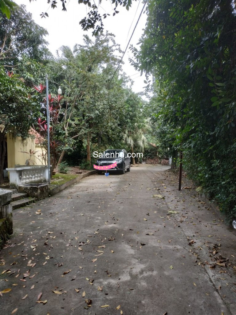 Ảnh nhà