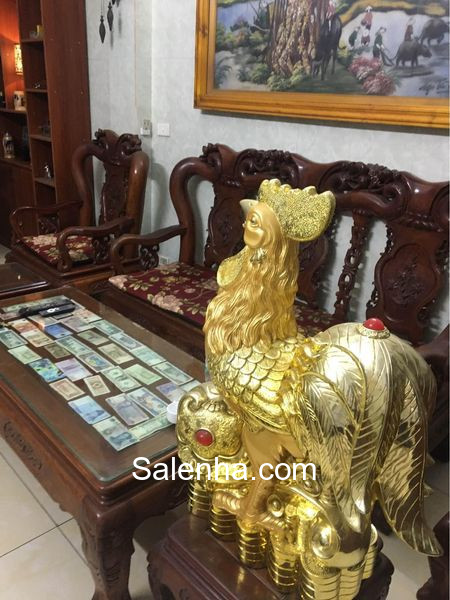 Ảnh nhà