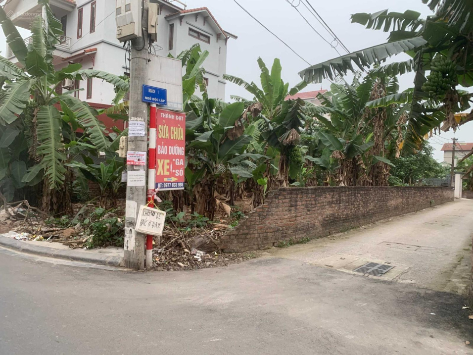 Ảnh nhà