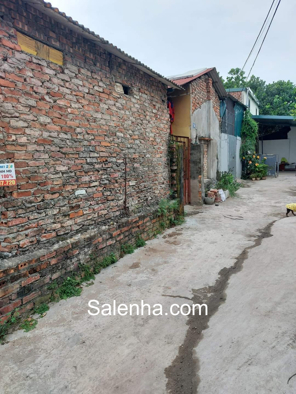 Ảnh nhà