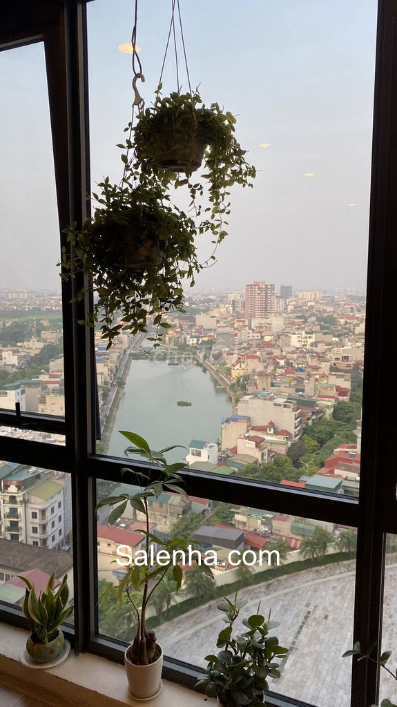 Ảnh nhà