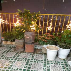 Ảnh nhà