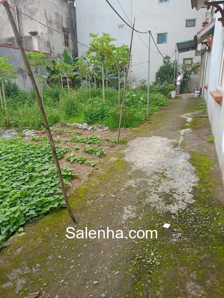 Ảnh nhà