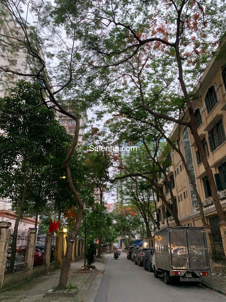 Ảnh nhà