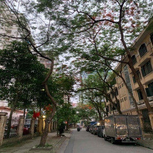 Ảnh nhà