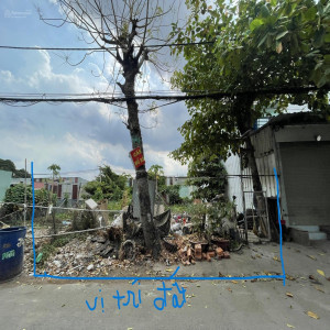 Ảnh nhà